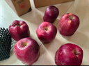 京鲜生 甘肃天水花牛苹果 又大又红 净重10斤 单果200g以上 新鲜水果  实拍图