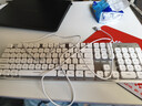 狼途L1静音键盘有线/无线键盘高颜值键盘104键机械手感薄膜键盘电竞游戏男女生办公键盘电脑笔记本键盘 【有线·低音】白冰蓝单光 实拍图
