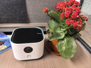 UORRIS德国欧瑞氏空气净化器除甲醛除烟味新房家用桌面办公室小型负离子除异味过敏原鼻炎哮喘花粉神器 清新白 【含耗材丨除醛率99%】 实时检测丨主动捕捉丨效果可视化 实拍图