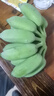 京喜加正宗苹果蕉广西香蕉自然熟新鲜水果奶蕉粉蕉小米芭蕉鹏贸 净重5斤 实拍图