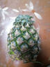 正宗海南金钻凤梨新鲜水果当季树上熟芒果凤梨【催熟食用】 1粒装单果500g-650g【7成熟，催熟再吃】 实拍图