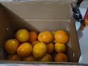 赣南脐橙江西正宗赣州橙子 新鲜水果整箱 团购送礼彩箱礼盒 手剥甜橙 榨汁 净重9-10斤装 单果200g-300g+ 源头直采 产地直发 实拍图