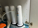 道尔顿（Doulton）净水器滤芯0.2微米2504 M12UCC滤芯 英国原装进口天然矽藻瓷滤芯  同港版2504 实拍图