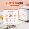 苏泊尔（SUPOR）电炖锅 电炖盅家用煲汤锅炖汤锅 隔水炖锅 煲汤专用电锅全自动陶瓷炖汤盅 DZ25YC828 实拍图