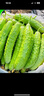 京鲜生 海阳白玉黄瓜 净重3斤 生吃水果黄瓜 新鲜现摘减脂餐 源头直发 实拍图
