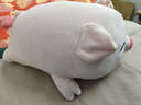 名创优品（MINISO）小猪B-BO弹力超柔趴姿毛绒公仔玩偶抱枕玩具送女友生日新年礼物女 实拍图