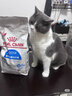 皇家室内成猫粮 I27 通用粮 12月以上 2KG 实拍图