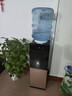 康佳饮水机家用立式办公双开门柜式快速加热上置式桶装水饮水器 香槟金旗舰款【双门防尘上置水桶】 温热型 实拍图