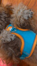 茨格曼狗绳牵引绳狗链子胸背带遛狗绳子中小型犬宠物用品 实拍图