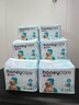 HONEYCARE好命家 狗狗纸尿裤公狗尿不湿安全裤 S适用体重5-15kg/12片12包装 实拍图
