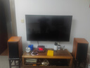 惠威（HiVi）M3等磁场带式高音 高保真无源音响 经典HIFI6.5英寸三分频书架 实木音响 M3（不含功放） 实拍图