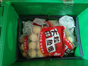 四海鱼蛋供港品质大粒炸鱼丸600g肉含量约70%火锅食材关东煮生鲜麻辣烫 实拍图
