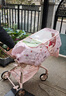 丸丫T6-2遛娃神器高景观婴儿推车可坐可躺轻便折叠可换向千禧粉PLUS 实拍图