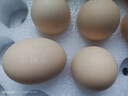 京鲜生可生食标准鲜鸡蛋30枚礼盒装3斤 源头直发 实拍图
