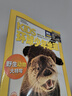 KiDS环球少年地理杂志铺 2026年1月起订阅 1年共12期 6-12岁儿童科普百科杂志 少儿地理百科通识 美国国家地理少儿版版权合作 杂志铺杂志订阅中小学生课外阅读 实拍图