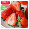 京鲜生 长丰红颜草莓净重1.5斤装 单果20g 生鲜水果 源头直发包邮 实拍图