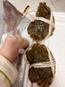 【活蟹】漁家师傅大闸蟹全母4.0-4.3两8只 去绳足重鲜活螃蟹现货生鲜实物水产海鲜礼盒 实拍图
