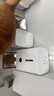 米家宠物喂食器2 小米自动狗狗猫咪定量定时喂食器 猫咪自动投食机 实拍图