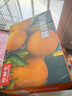 京鲜生 江西赣南脐橙 净重6斤装 铂金果 单果180g起 生鲜水果礼盒 实拍图