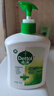 滴露（Dettol）洗手液抑菌滋润450g*2+松木450g*2儿童家庭补充装消毒温和护手 实拍图