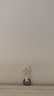 无痕钉墙钉墙壁挂画免打孔强力承重隐形挂钩挂照片相框婚纱照钩子 无痕钉【中号】 【5个装】 实拍图