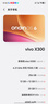 vivo X300 蔡司2亿超级主摄 蔡司APO超级长焦 5年持久流畅OriginOS 6 国家补贴 小直屏拍照手机 幸运彩 12GB+256GB 官方标配 实拍图