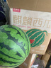 京鲜生 无籽麒麟西瓜 1粒装 单果5-7斤 生鲜水果 实拍图