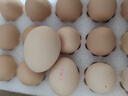 京鲜生 无抗保洁鲜鸡蛋30枚/盒 健康轻食 礼盒送礼 1.5kg/盒 源头直发 实拍图