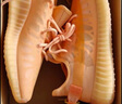 阿迪达斯yeezy350全透火山橙椰子透气男女休闲鞋GW2870 44.5 实拍图