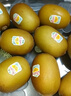 佳沛（zespri）新西兰阳光金奇异果 8个装 特大果单果重约122-146g 水果猕猴桃 实拍图