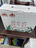 西牧天山新疆纯牛奶200ml*10盒整箱装 全脂牛奶儿童早餐营养奶礼盒装黑五 实拍图
