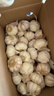 紫白皮蒜水果大蒜超市即食生鲜蔬菜大蒜 【实惠】5斤带箱 净重4.55斤单果3.5-5cm 实拍图