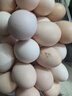 京鲜生【每日鲜蛋】无抗谷物鸡蛋30枚 3.18斤 当日产蛋 当日发货 实拍图