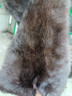 依花梦兔毛皮整张老兔皮本色家兔獭兔毛皮原料床垫盖毯护膝坐垫手工制作 天然颜色小皮子随机35X20厘米 毛面最长最宽测量算头尾 实拍图