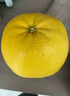 鲜闻果正宗爆汁黄金葡萄柚9斤柚子新鲜当季福建平和水果蜜柚文旦甜西柚A 9斤中果9-12个【250g+】 实拍图