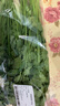 带根香菜100g 实拍图