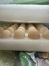 德青源可生食富硒叶黄素鲜鸡蛋30枚1.5kg 无抗生素  家庭礼盒装 实拍图