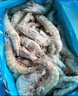 鲜京采 厄瓜多尔白虾 净重3斤/盒 特大号20-30规格   30-45只/盒 实拍图