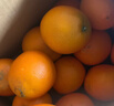 江西赣南早脐橙整箱当季新鲜早橙子榨汁水果礼盒皮薄多汁节日团购 【60%人选】净重18斤单个200g+ 实拍图