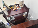 瑞呈堂（RUICHENGTANG） 实木茶水柜小茶几古典中式明清酒柜茶叶柜置物架储物收纳餐边柜 A款栗红色 无需安装60*35*75高 实拍图