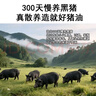 尝梦 零添加 黑猪油300g*3 散养黑猪 增香 拌饭烘焙采销甄选 实拍图