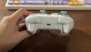 飞智冰原狼2 多模版无线游戏手柄 类xbox霍尔线性扳机switch电脑PC手机steam体感NS双影奇境怪物猎人 实拍图