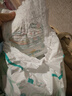 帮宝适清新帮系列纸尿裤 XL84片【小内裤】 实拍图