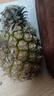 正宗海南金钻凤梨新鲜水果当季树上熟芒果凤梨【催熟食用】 净重4.5斤大果（2-3个）单果1.8斤起 实拍图