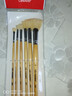 中盛画材(transon)水粉笔画笔套装 6支猪鬃扇形套装笔丙烯油画颜料专用画笔画刷子艺考鱼尾原鬃 速写 马克笔绘画 实拍图