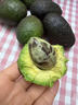 山姆大叔 金奖·哈斯牛油果云南孟连【闪送】当季鳄梨非即食新鲜水果礼盒 【80%选择】精品果丨约95-125g 6枚【热销* 超值推荐】普装 实拍图