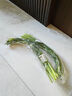 山东苍山蒜苔约300g 实拍图