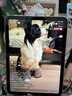 Apple/苹果 iPad11英寸 A16芯片2025年款 平板电脑 (128GB WLAN版/学习办公娱乐)银色 实拍图