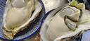 乳山牡蛎 鲜活乳山生蚝4XL 净重5斤 11-12只 生鲜海鲜 年货送礼 源头直发 实拍图