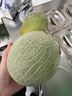 胖东来同款网纹瓜冰淇淋网纹玫珑甜瓜新鲜现摘冰激凌玫珑蜜瓜 带箱5-6斤(实惠中果) 晒单实拍图